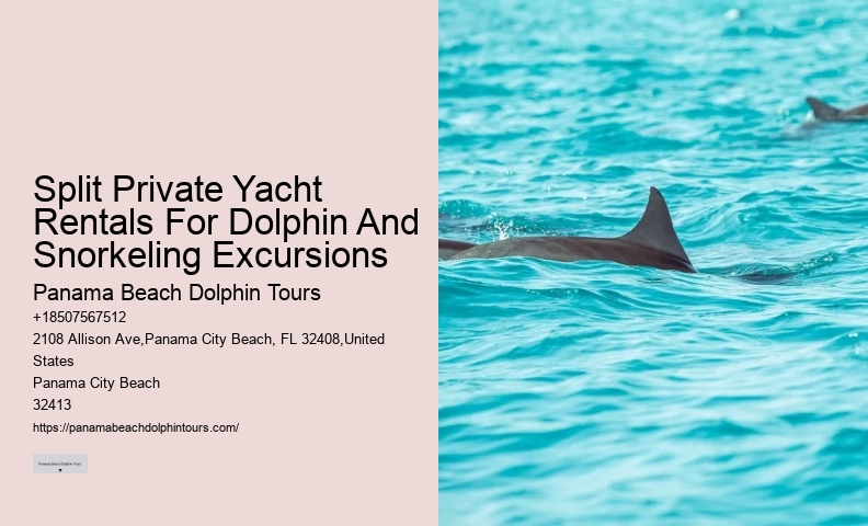 Split Romantic Dolphin Watching And Snorkeling Tours
