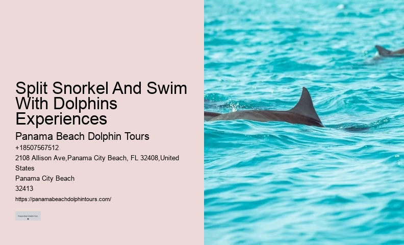 Where Is The Best Place To Swim With Dolphins
