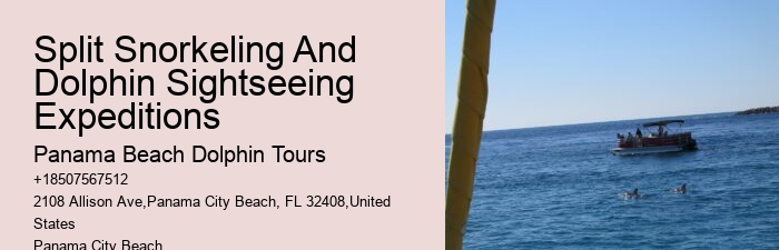 Jet Ski Dolphin Tours Near Me