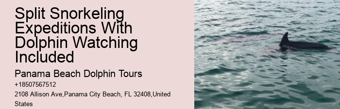 How Long Is The Dolphin Swim Experience And What Is The Age