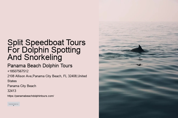 Dolphin Boat Tours PCB