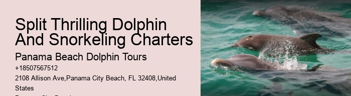 Private Charter