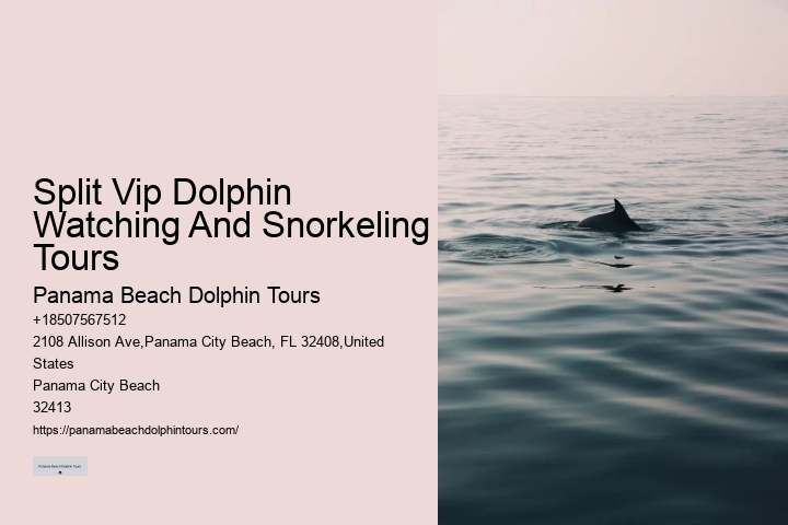 Secluded Dolphin Encounter and Snorkeling Trips