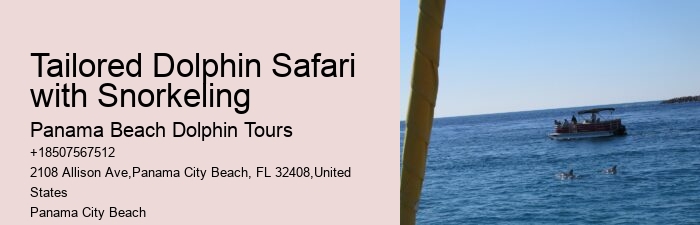 Panama City Beach dolphin discovery excursions