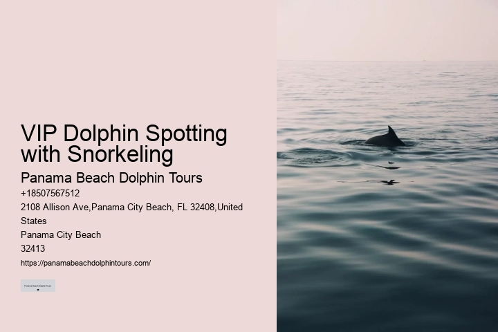 Why You Shouldn't Swim With Dolphins