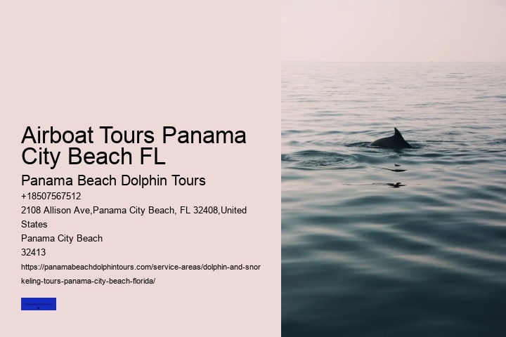 Panama City Beach Dolphin Swim
