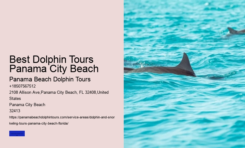 How Do You Spot Dolphins From Shore