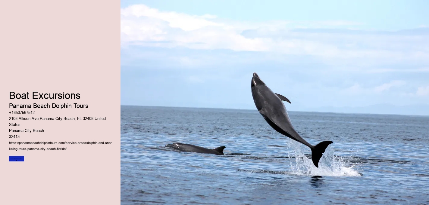 Where Is The Best Place For Dolphin Watching
