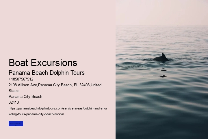 What Time Of Day Are Dolphins Most Active