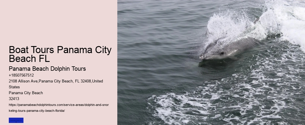 Panama City Beach Dolphin Tours & More Reviews