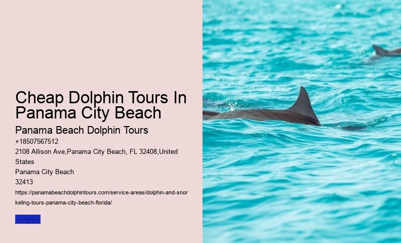 Is There A Weight Limit For Swimming With Dolphins