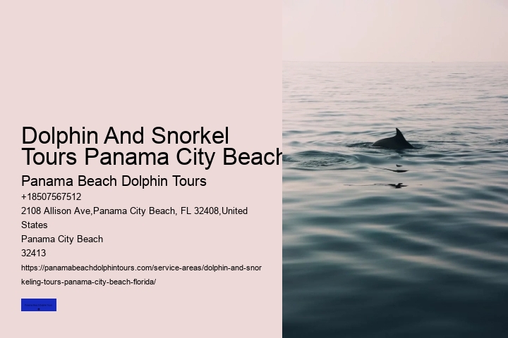 Discover Shell Island