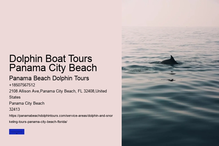 Dolphin Trips Panama City Beach