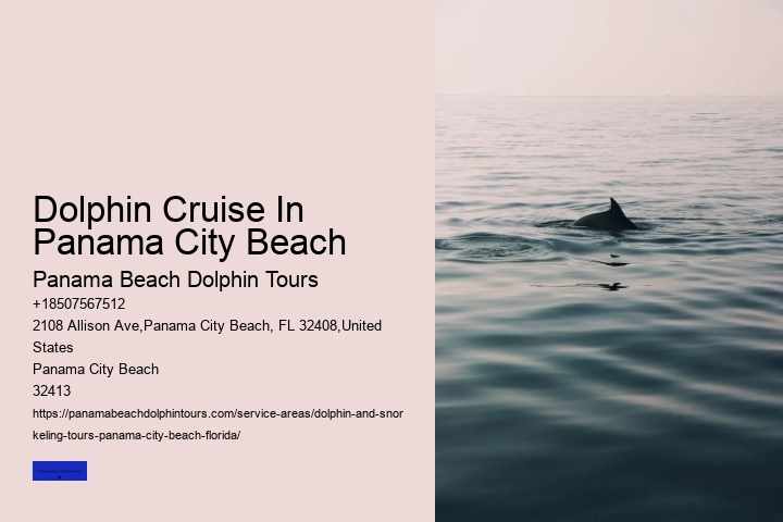 Shell Island Dolphin Tours Panama City Beach FL