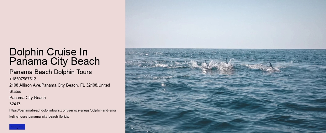 Where Are You Most Likely To See Dolphins In Florida