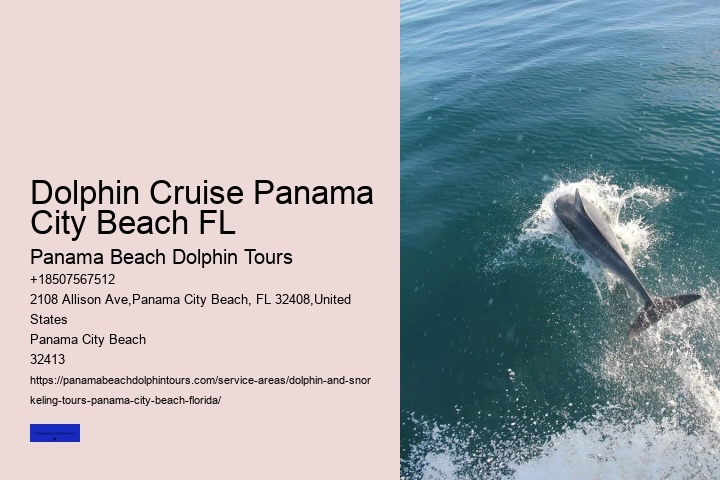 Dolphin Tours Near Me Panama City Beach