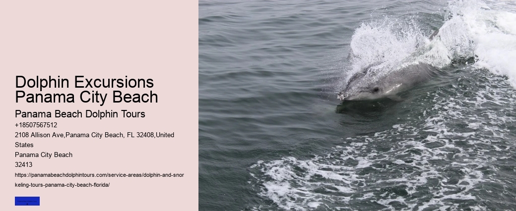 Where Is The Best Place To Swim With Wild Dolphins