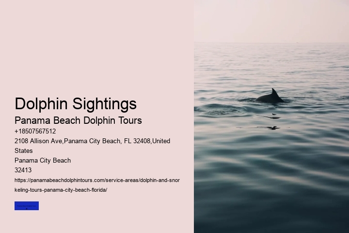 What Time Of Day Are Whales And Dolphins Most Active