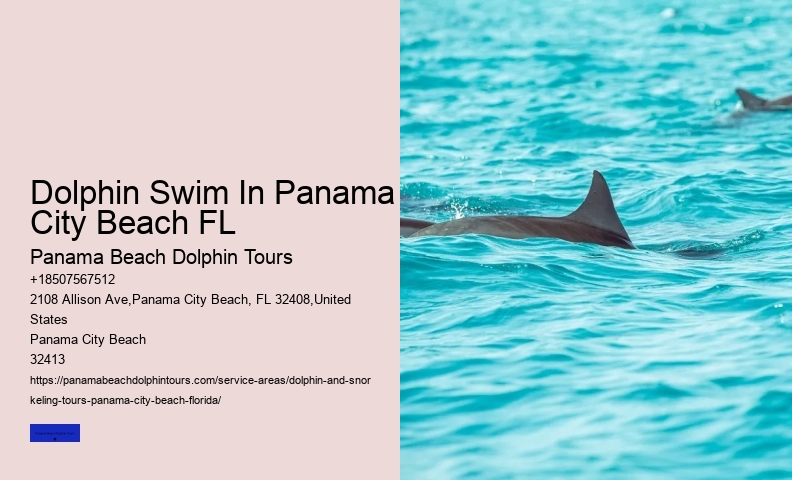 Can You Swim With Dolphins In Panama City