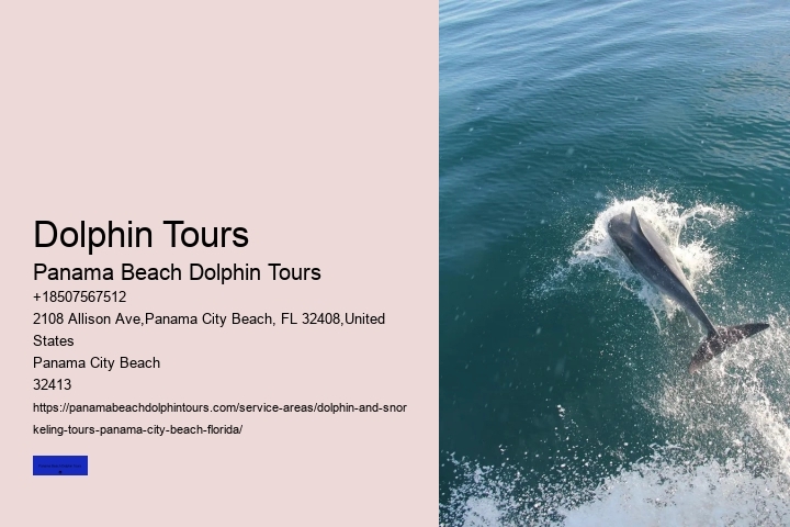 Dolphin Watching Tour Panama City Beach