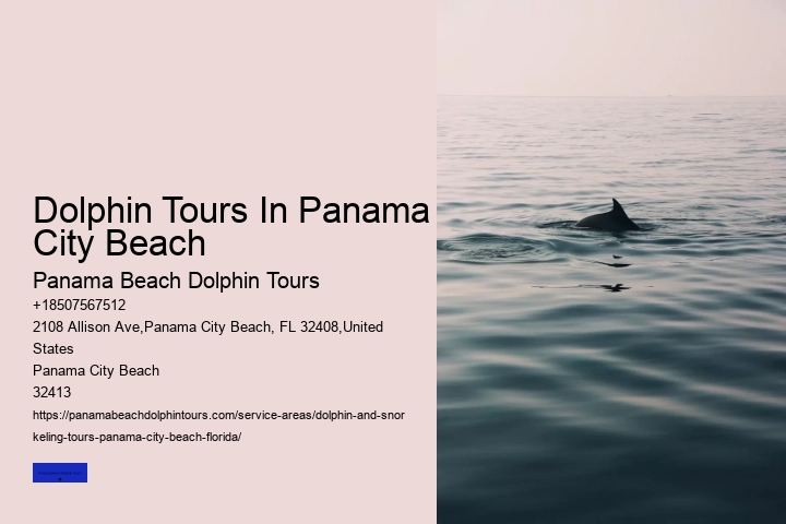 Dolphin Tours Panama City Beach Prices