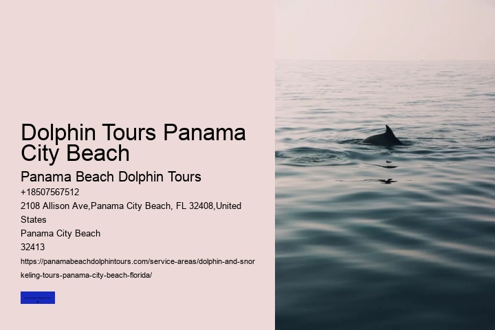 Six Reasons Why You Should Not Swim With Wild Spinner Dolphins