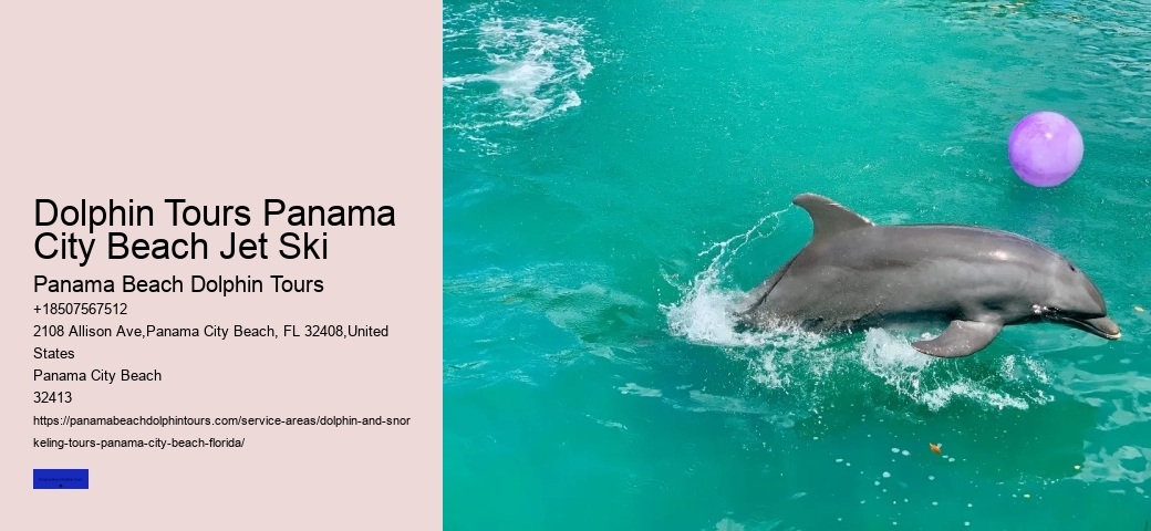 Dolphin Excursions Panama City Beach