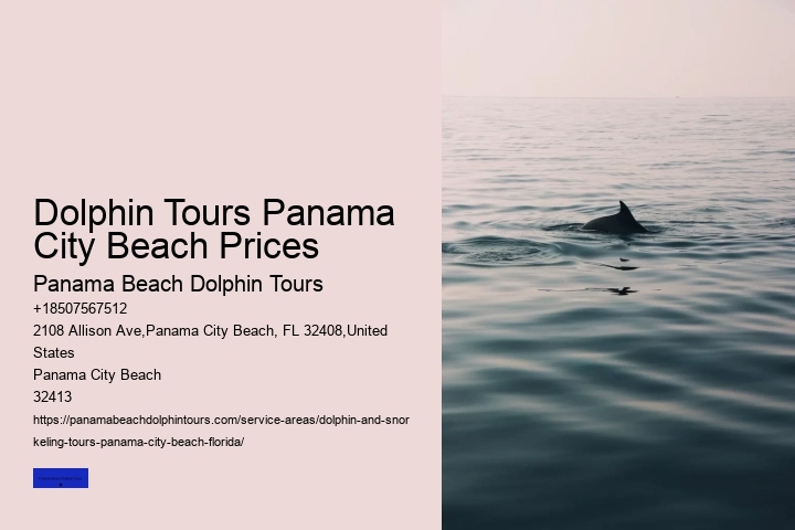How To Spot Dolphins From Shore Or At Sea