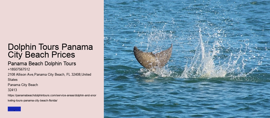 Why Do Dolphins Not Bite Hooks