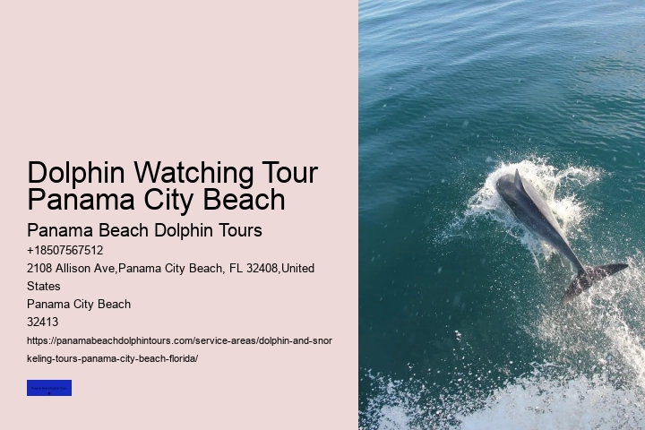 Dolphin & Snorkeling Tours Panama City Beach