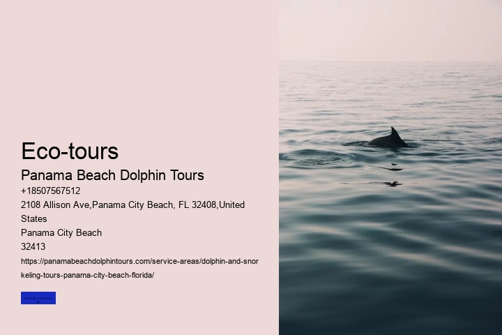 Is There A Weight Limit To Swim With Dolphins