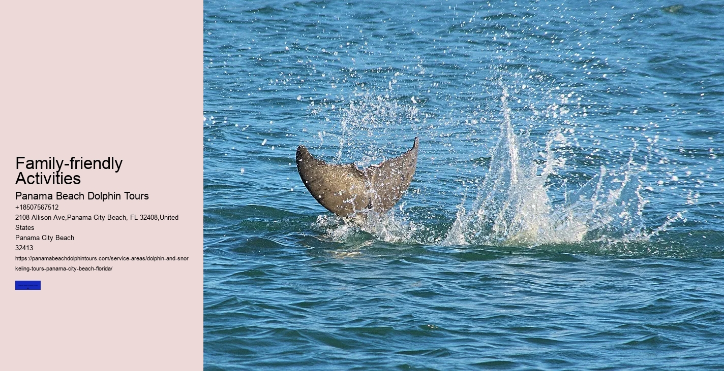 Come Swim With The Dolphins