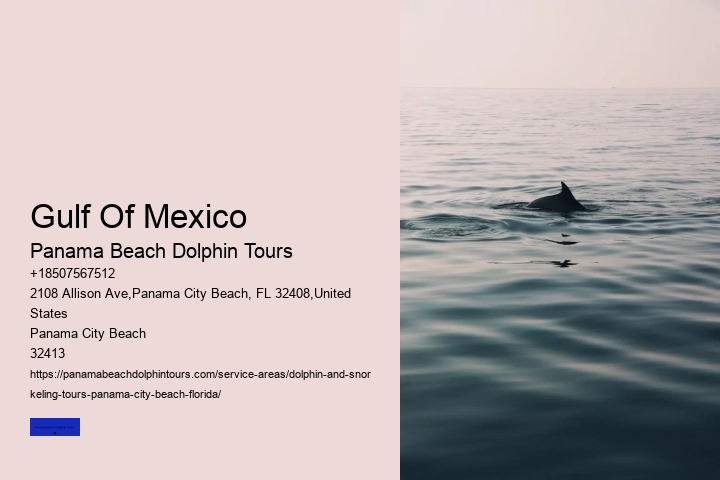 Dolphin Tours