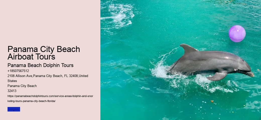 Panama City Dolphin