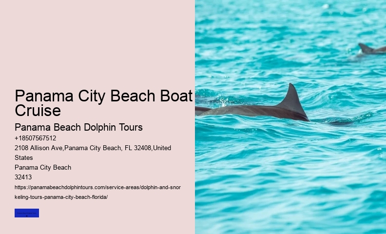 Best Sunset Dolphin Cruise Panama City Beach