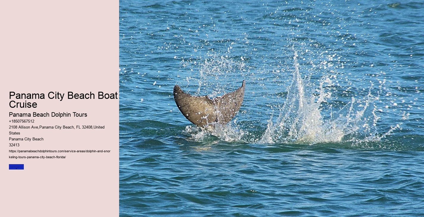Best Time Of Year For Whale Watching By Seasons