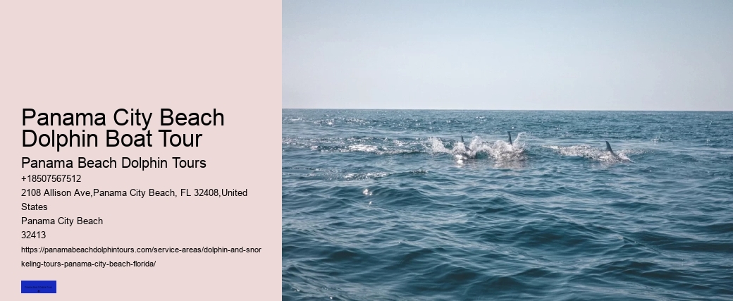 Beach Dolphin