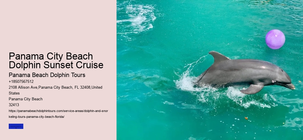 Panama City Beach Jet Ski Dolphin Tours