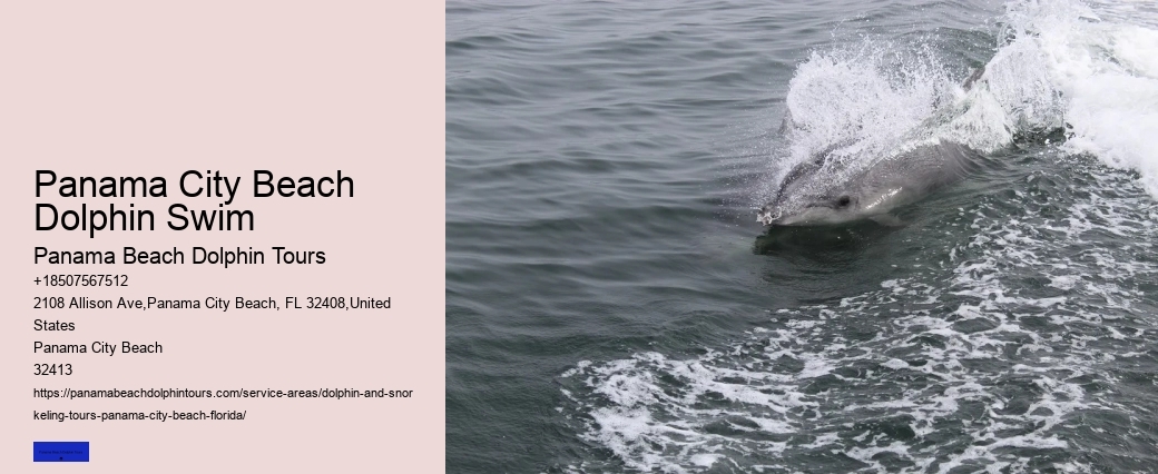 Do Dolphins Swim Humans To Shore