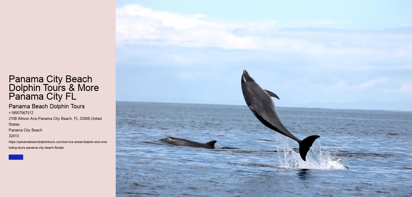 Shell Island Trips & Dolphin Tours