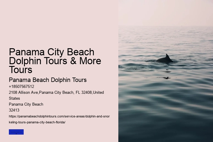 Jet Ski Dolphin Tour Panama City Beach