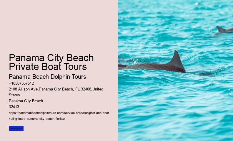Panama City Beach Florida Dolphin Tours