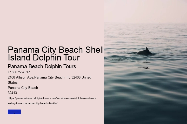 The Magic Of Dolphin Watching