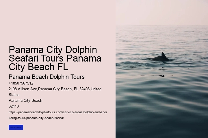Dolphin Dinner Cruise Panama City Beach