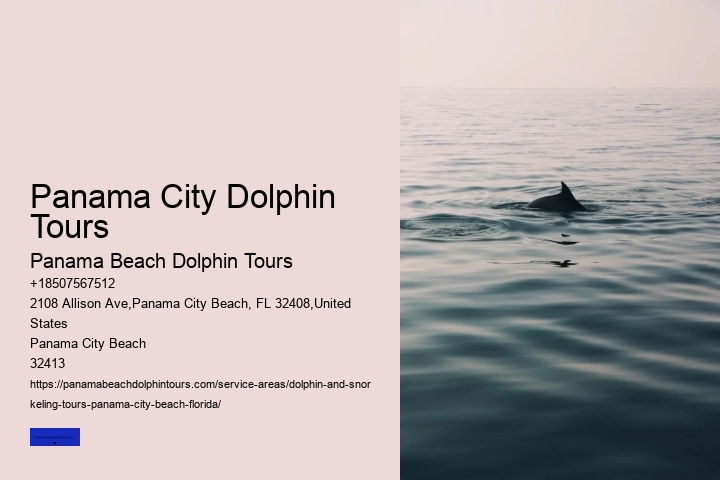 Waverunner Dolphin Tour Panama City Beach