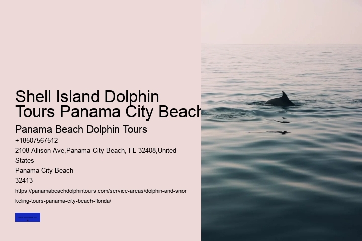 Can You Swim With Dolphins In Panama Beach Florida