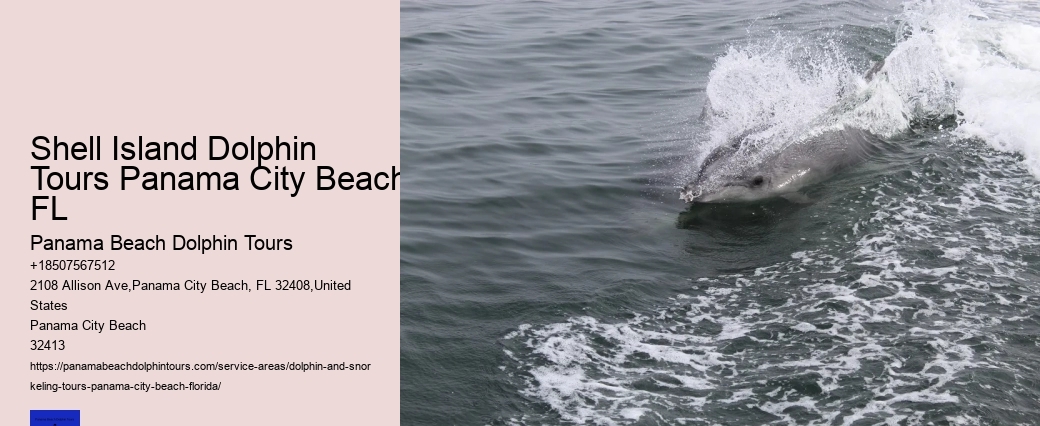 Dolphin Sightseeing Tour Panama City Beach