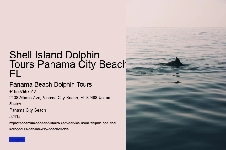 Come Swim With The Dolphins