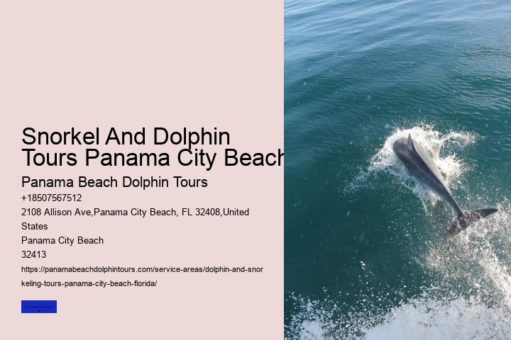Sunset Dolphin Cruise Panama City Beach FL