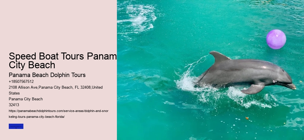 Beach Dolphin Tours Panama City